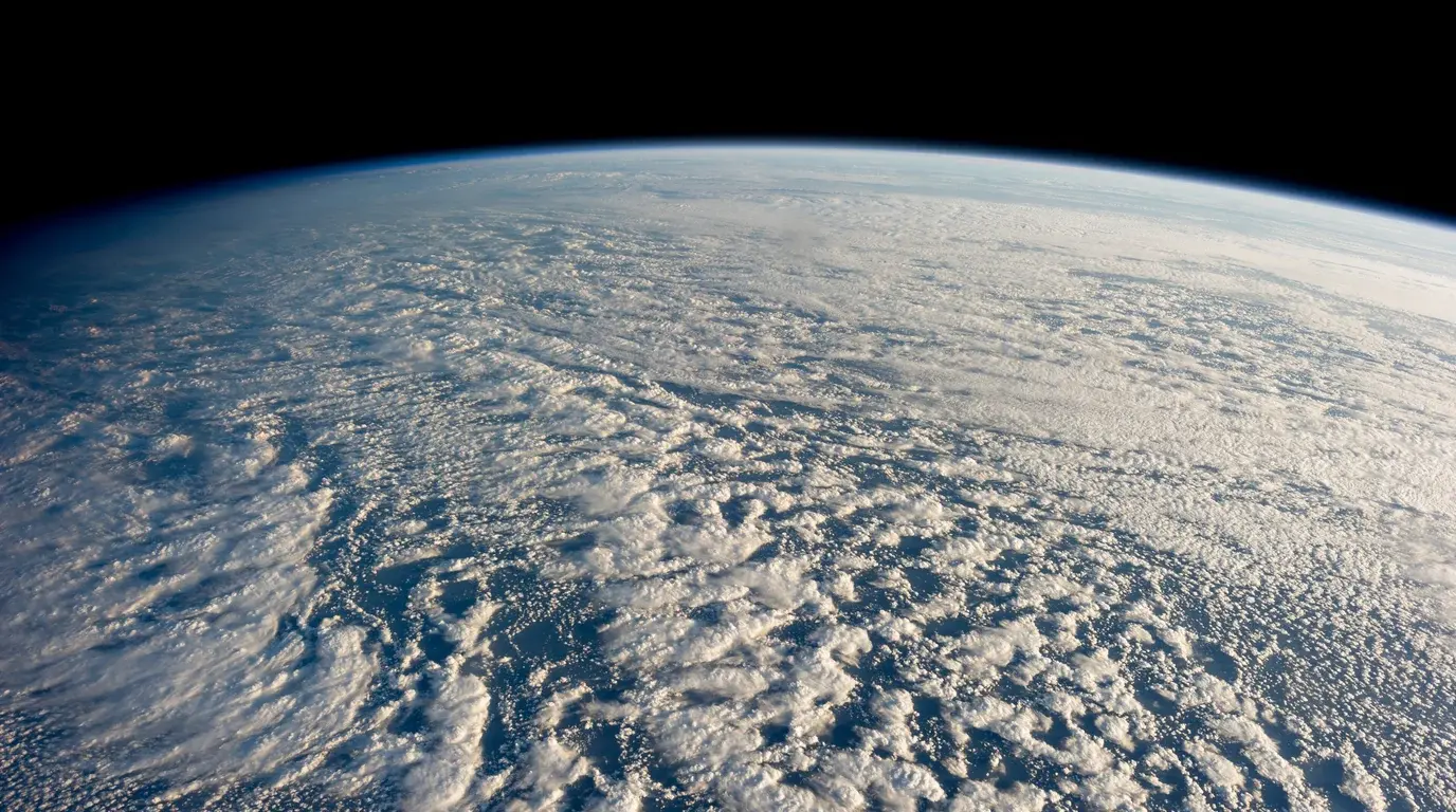 A vast field of stratocumulus clouds over the ocean, seen from orbit with the curve of the Earth above.